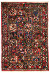 Bakhtiari Collectible Tapete 101X151 Oriental Feito A Mão Castanho Escuro/Vermelho Escuro (Lã, Pérsia/Irão)